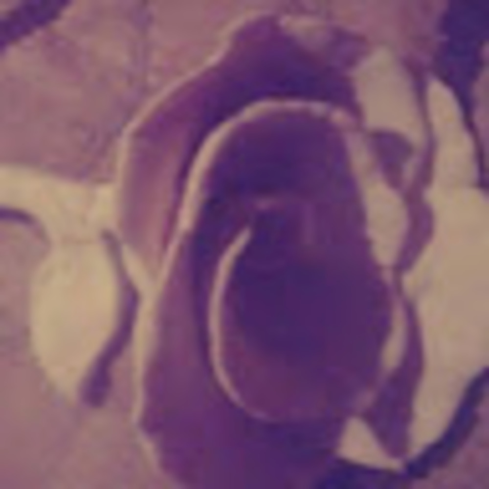 Meet your Posher, Lindsey